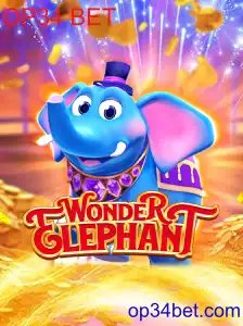 WonderElephant